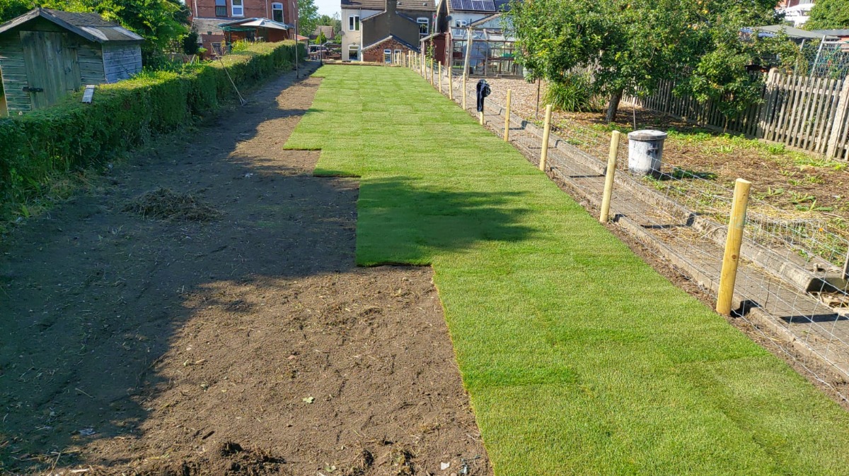 Profile: Image 3