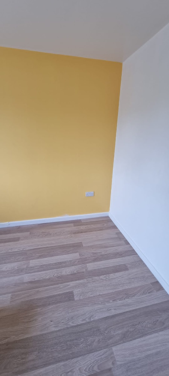 Painter and Decorator: Image 3