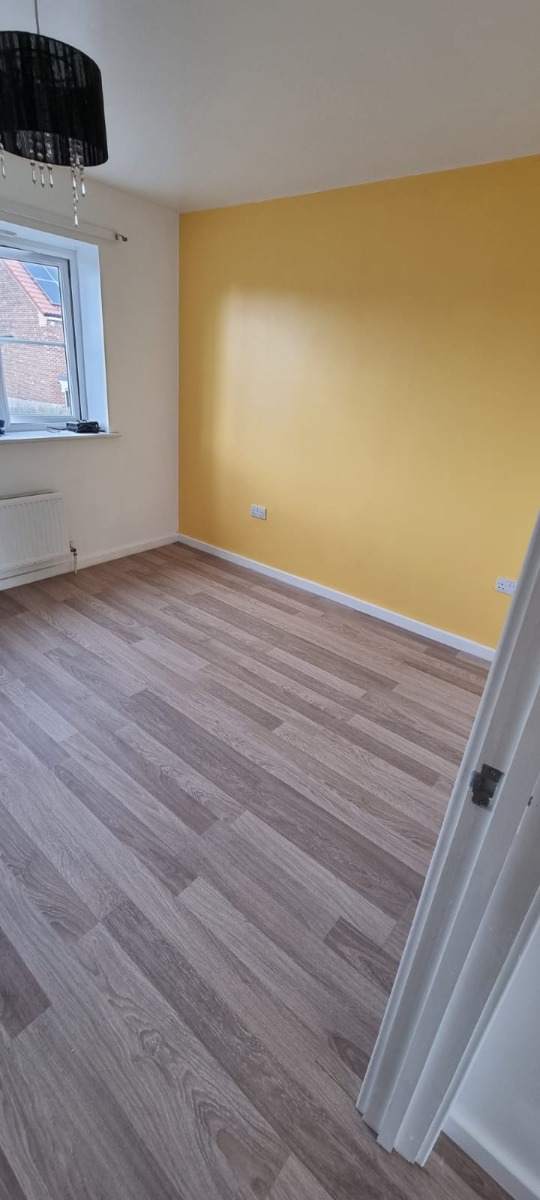 Painter and Decorator: Image 5