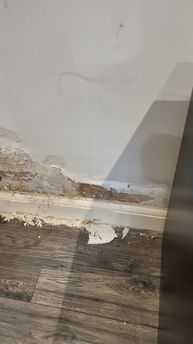 Painter and Decorator: Image 10