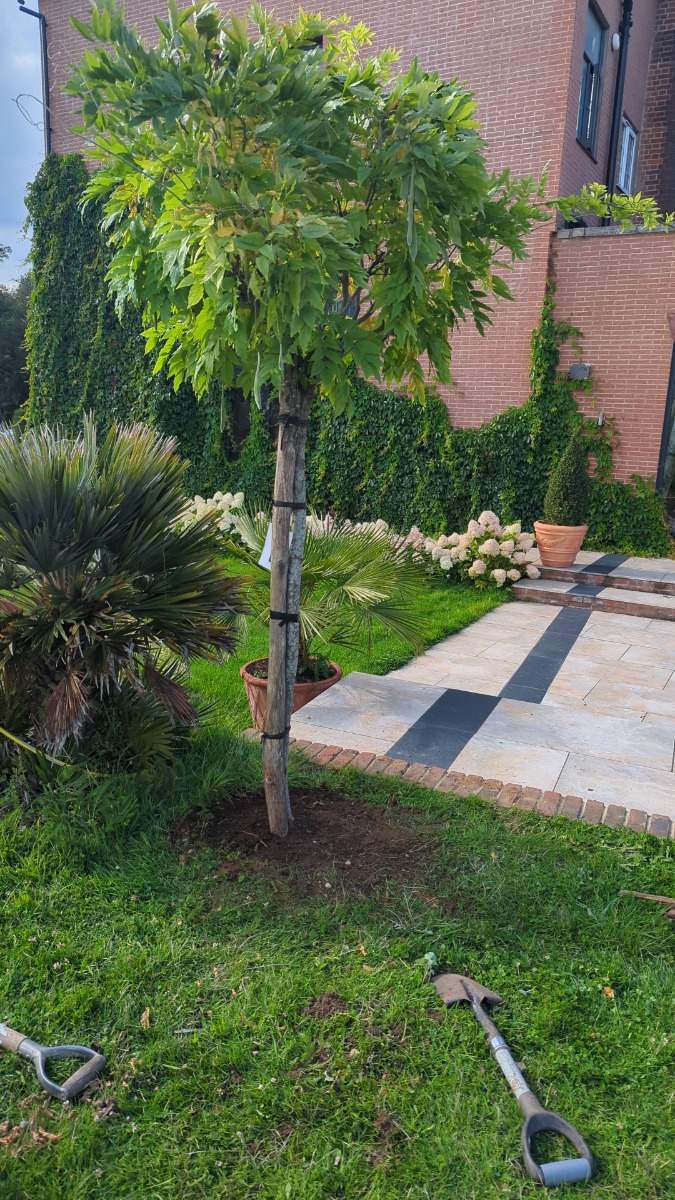 Gardener: Image 15