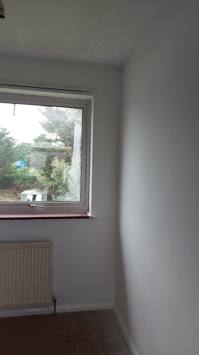 Painter and Decorator: Image 1