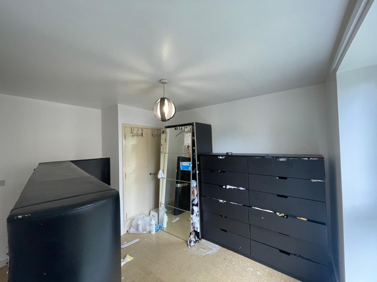Company: Image 101