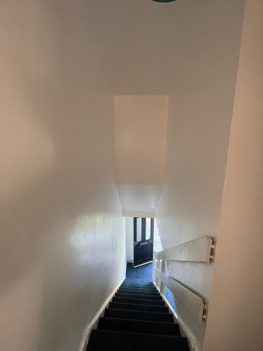 Company: Image 100