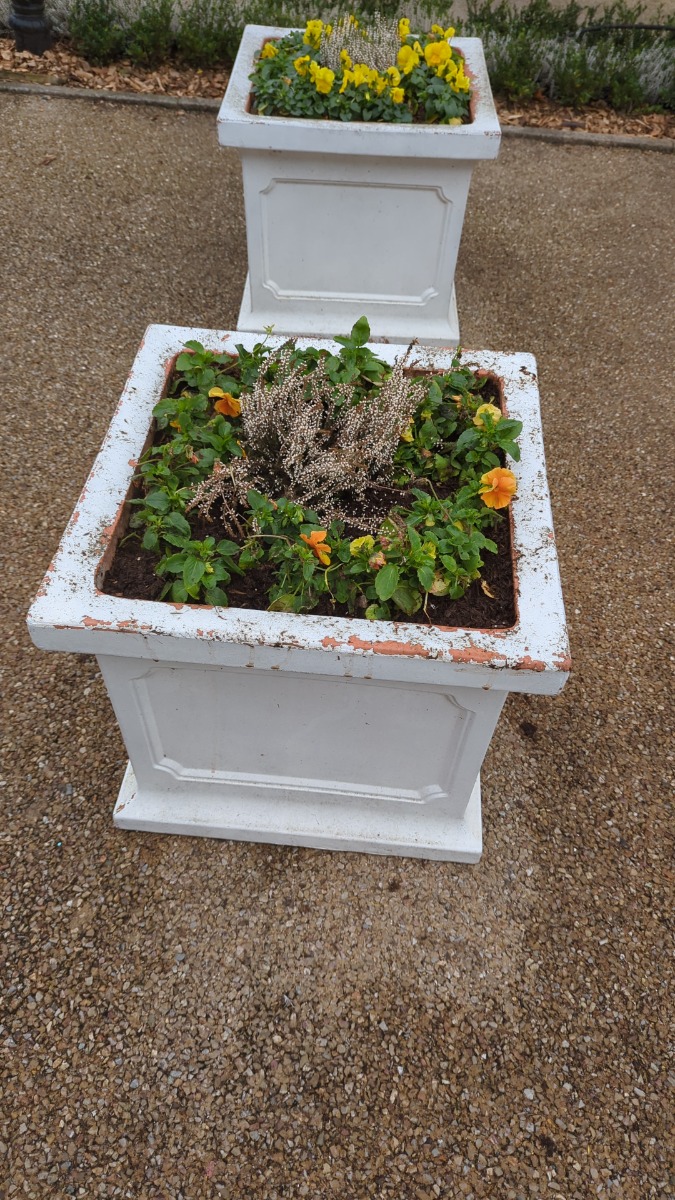 Gardener: Image 4