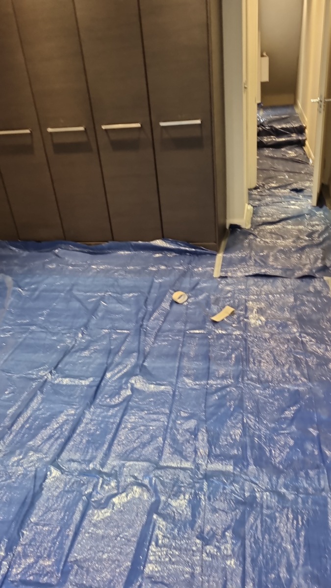 Painter and Decorator: Image 4
