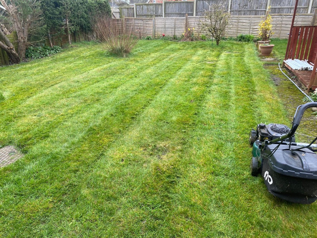 Gardener: Image 3