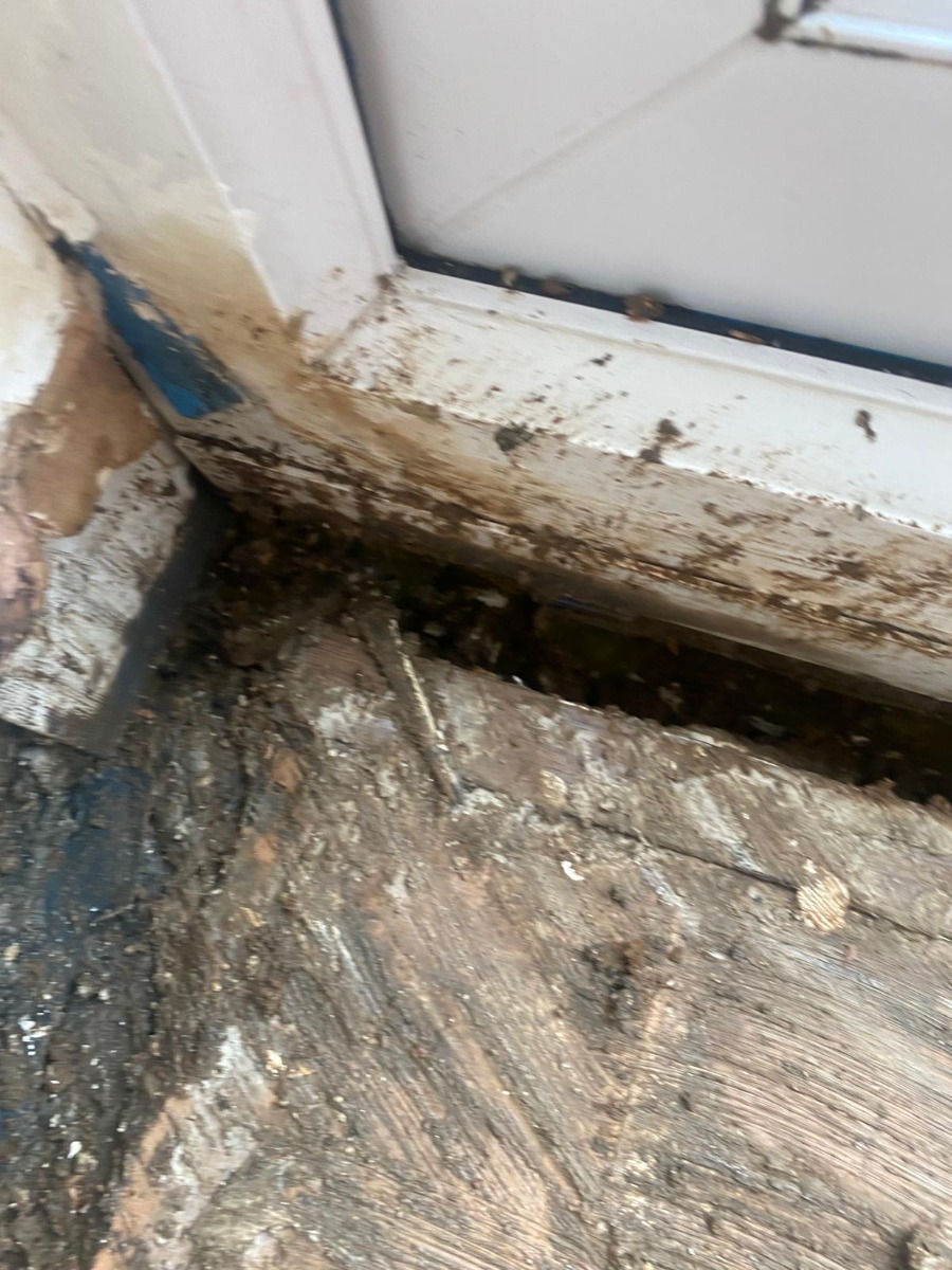 Cleaner: Image 1