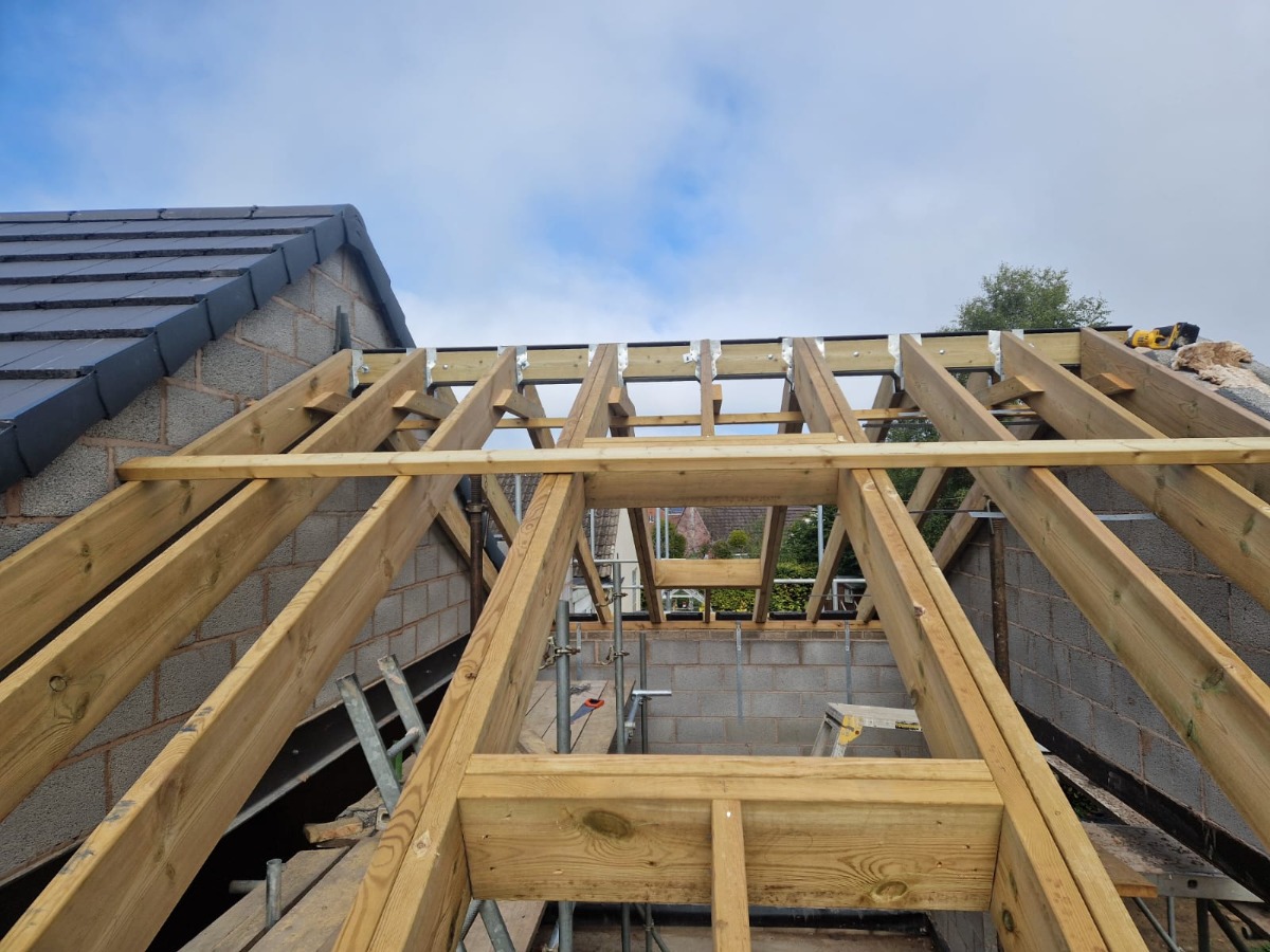 Roofer: Image 1