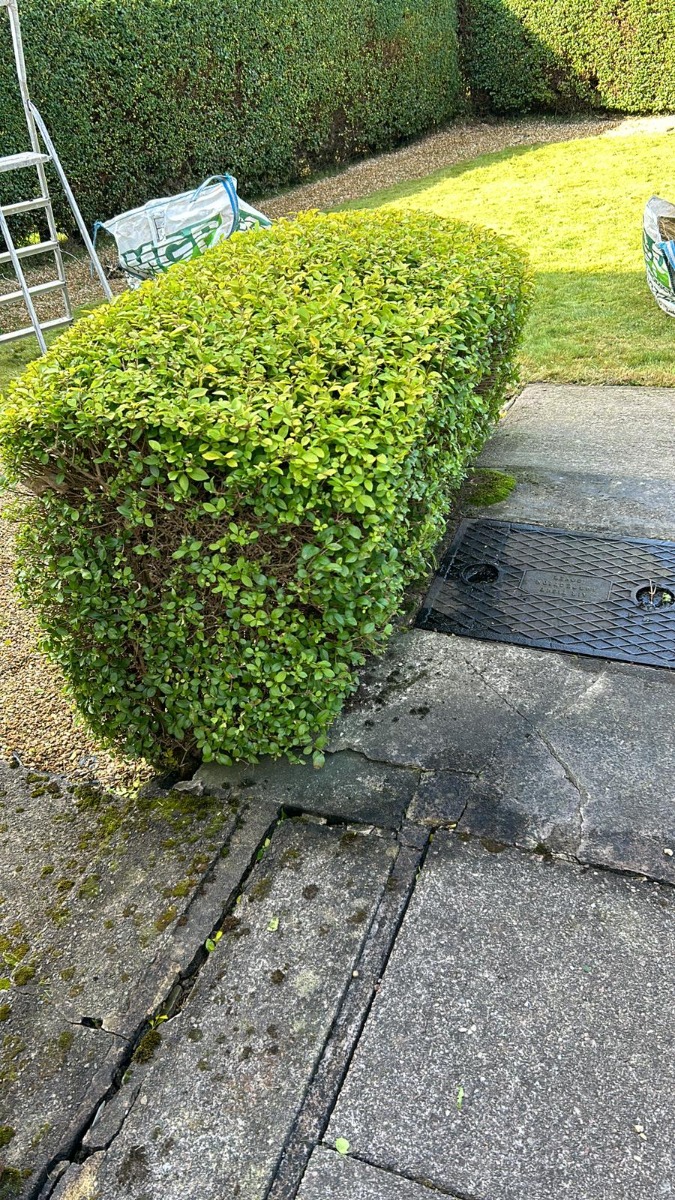 Company: Image 6