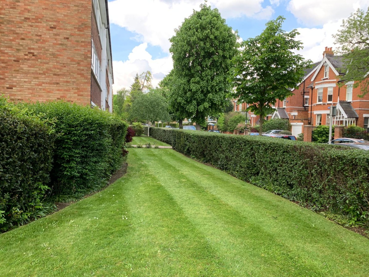 Gardener: Image 9