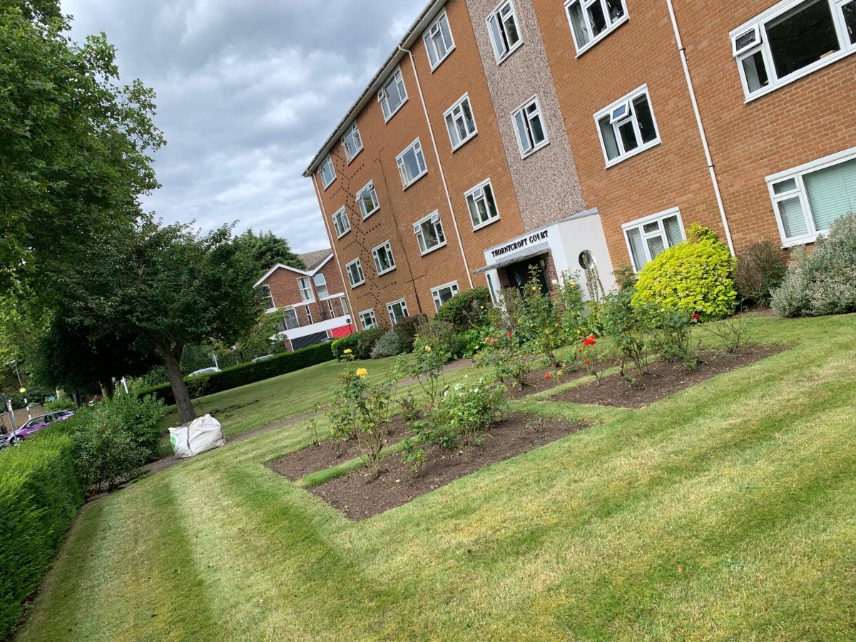 Gardener: Image 6