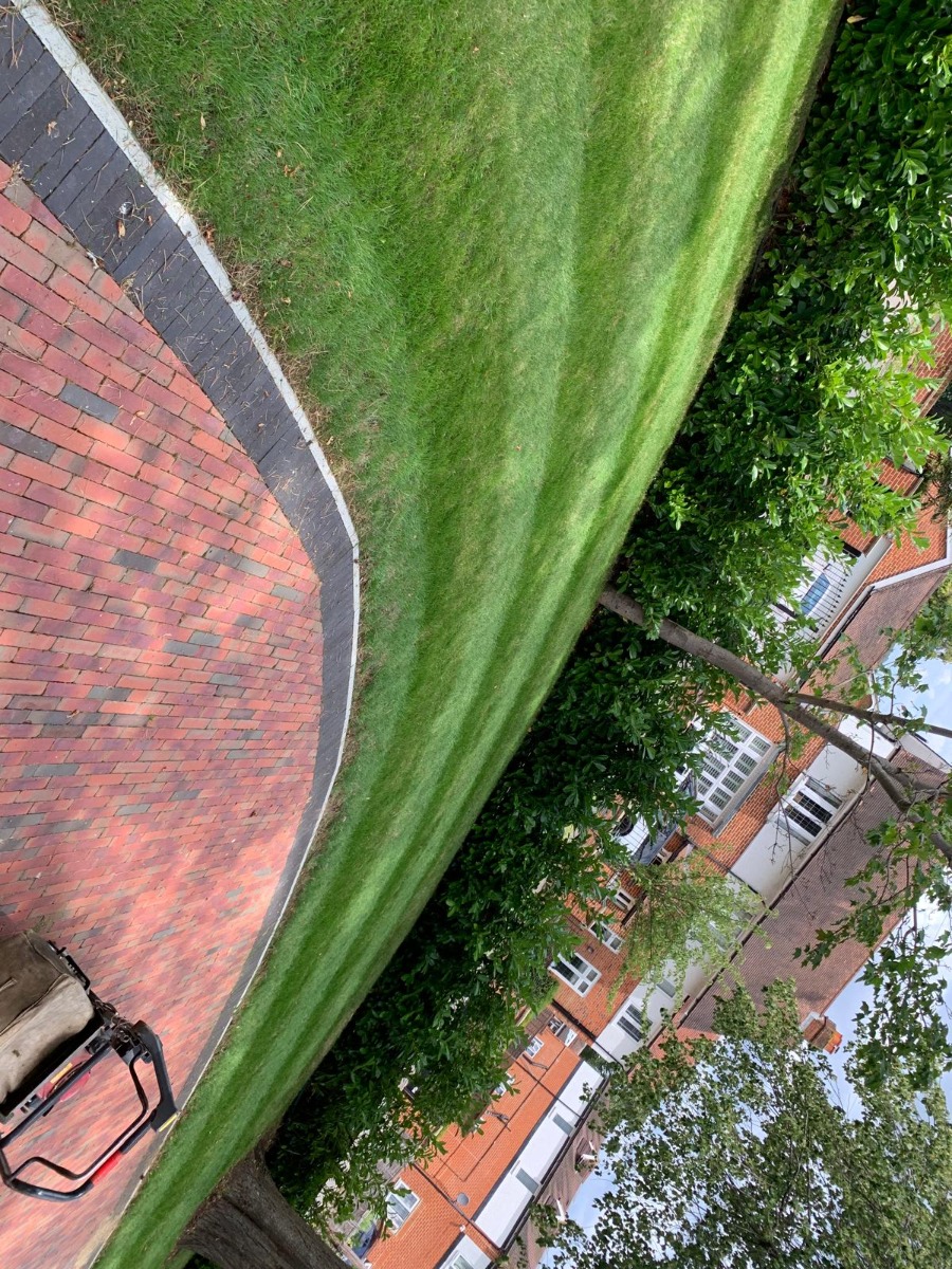 Gardener: Image 4