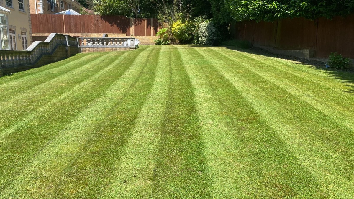 Gardener: Image 10