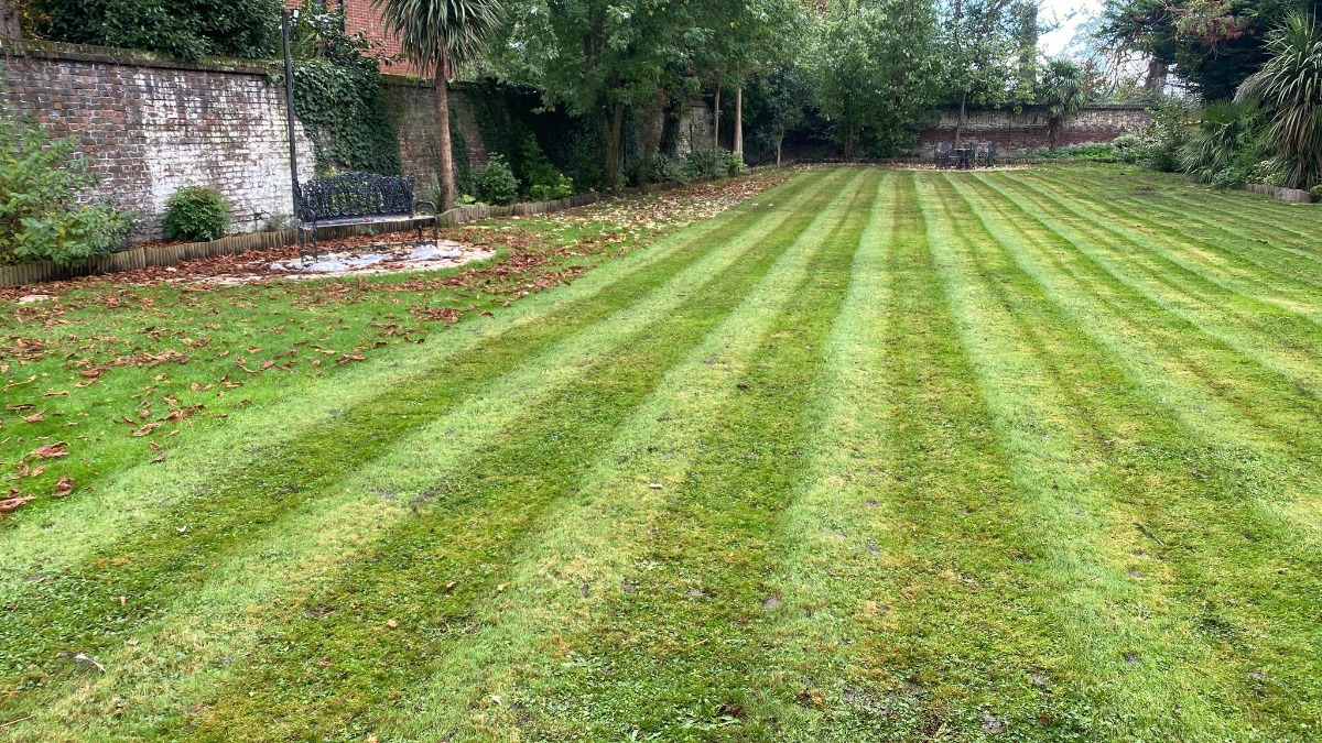 Gardener: Image 12