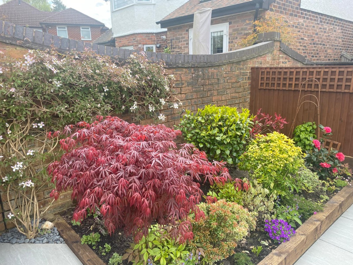 Landscaper: Image 13