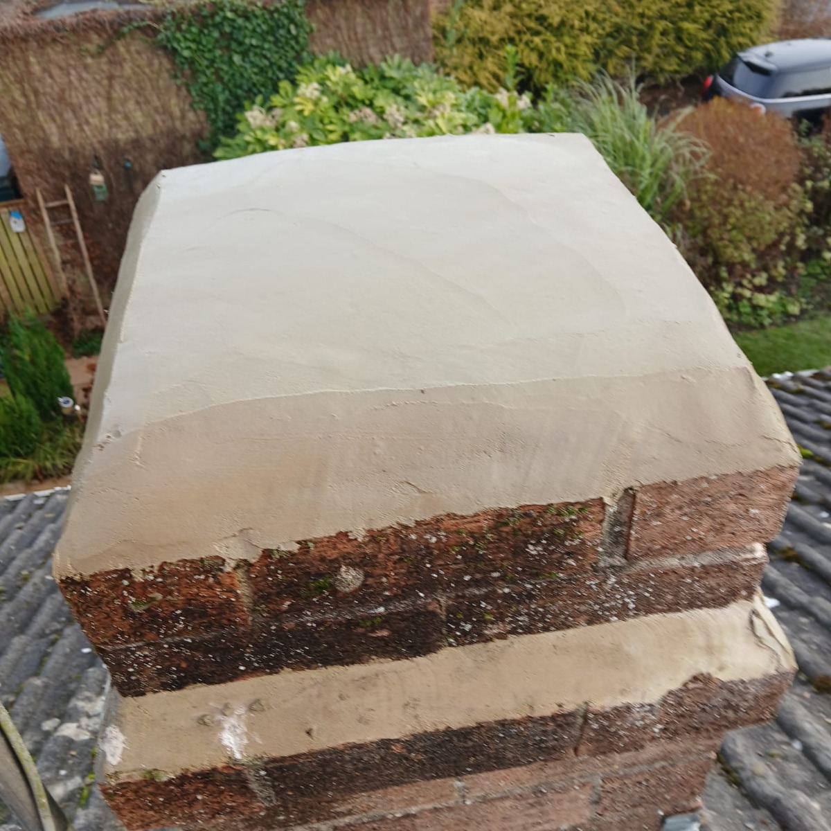 Profile: Image 1