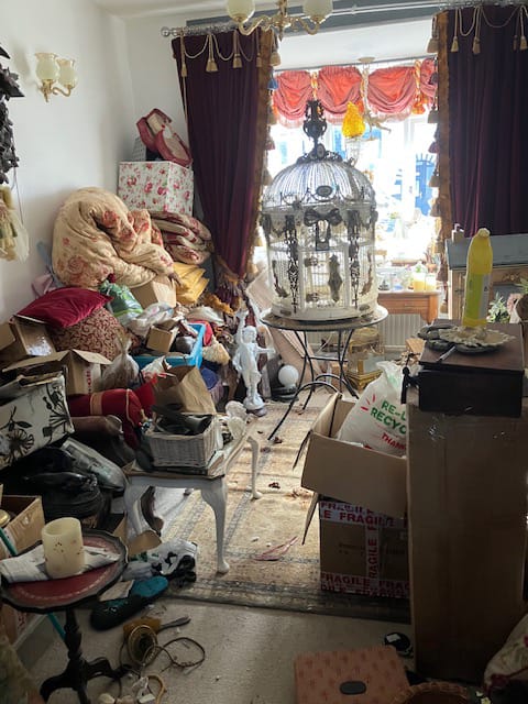Cleaner: Image 1