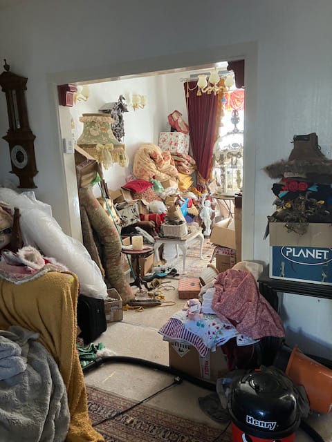 Cleaner: Image 2