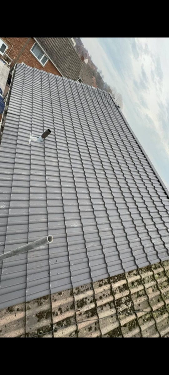 Roofer: Image 7