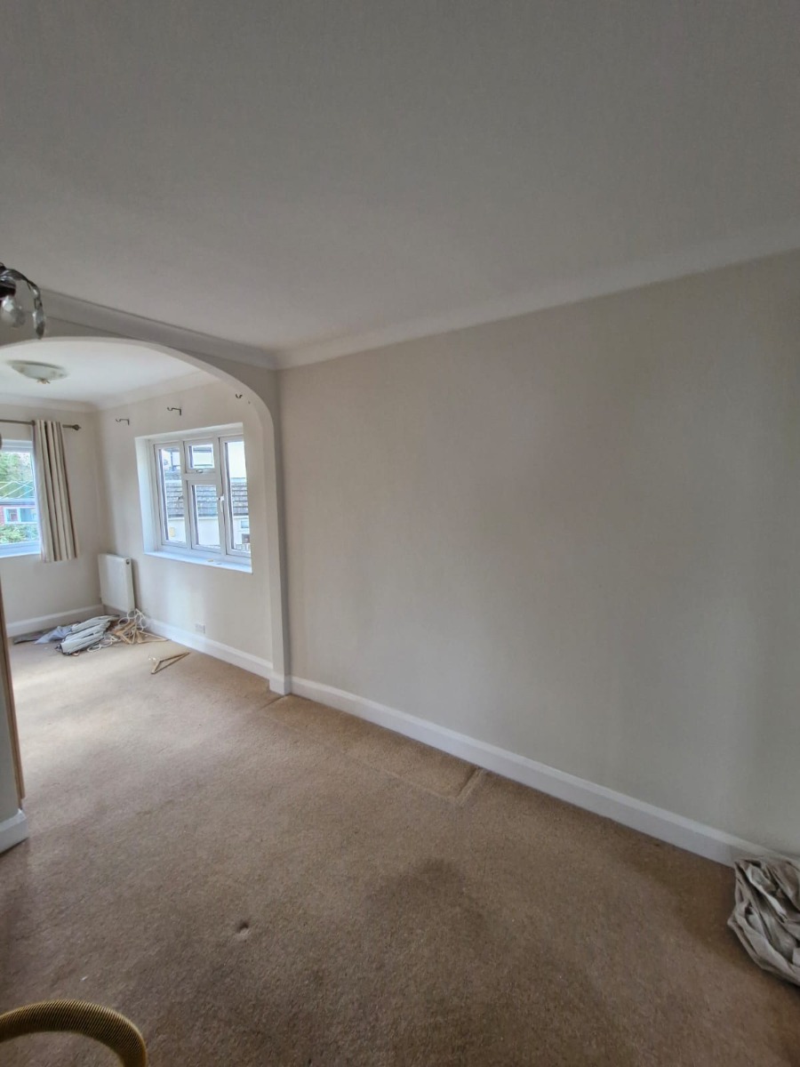Painter and Decorator: Image 6