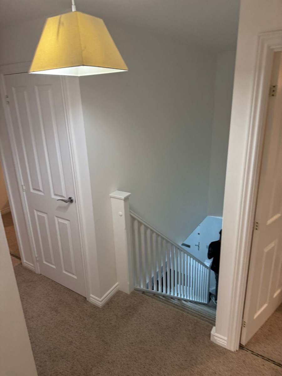 Painter and Decorator: Image 4
