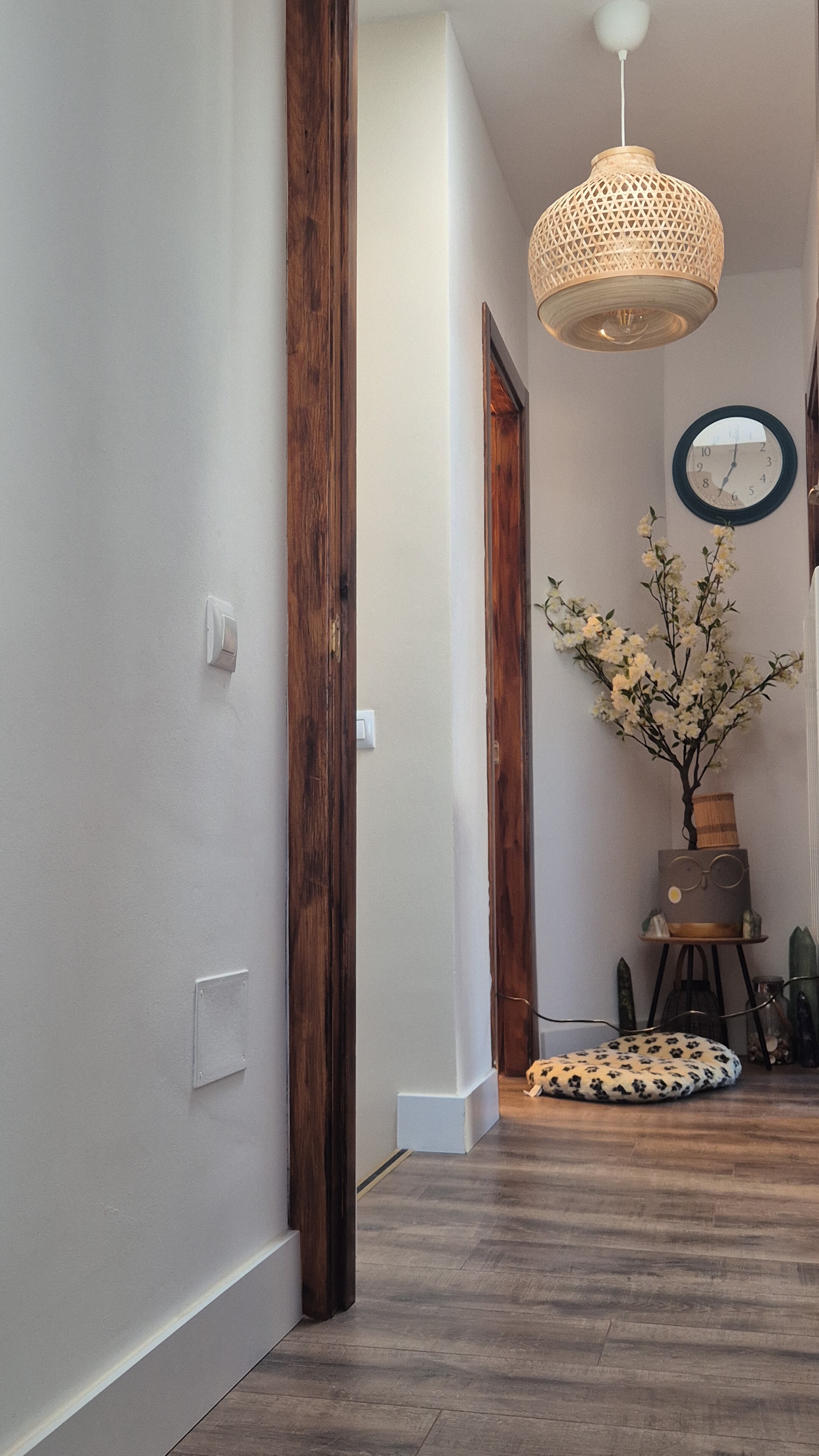 Painter and Decorator: Image 4
