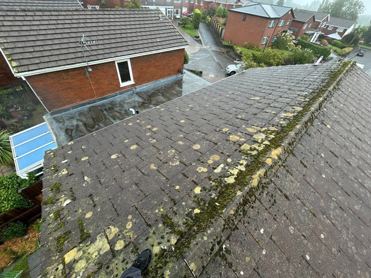 Roofer: Image 6