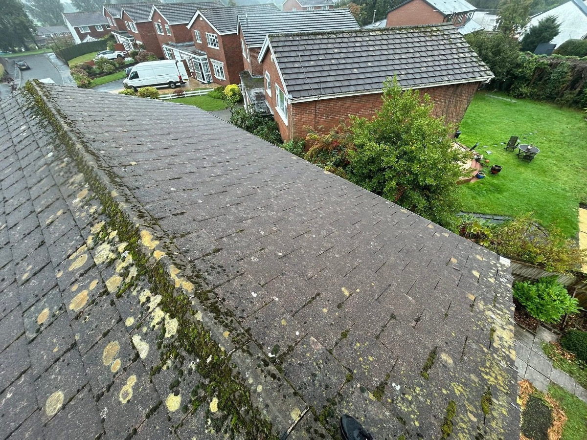 Roofer: Image 5