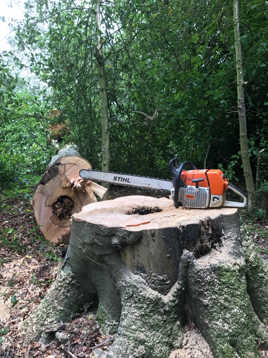 Company: Image 26