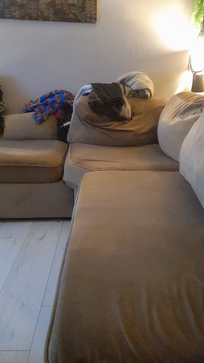 Cleaner: Image 3