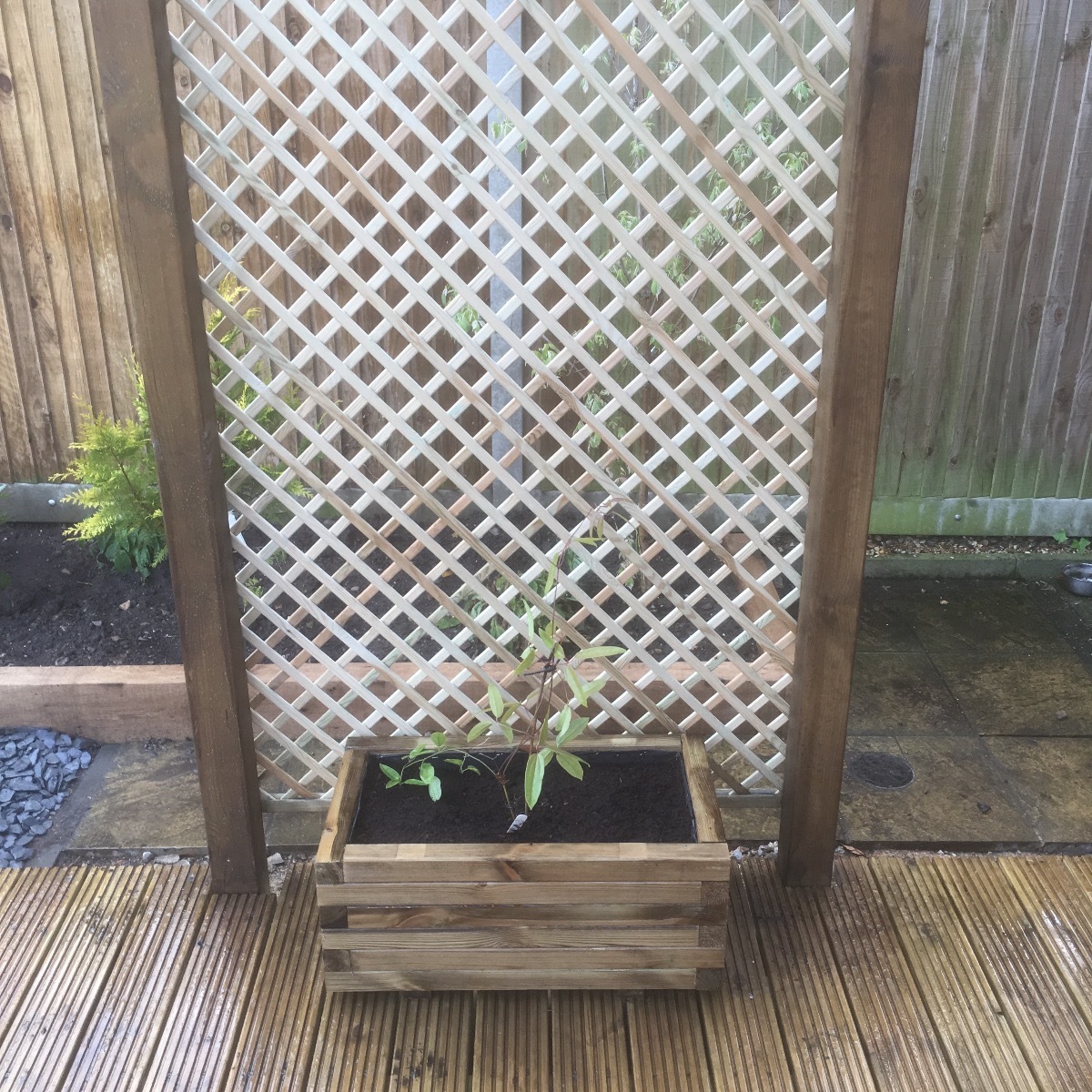Company: Image 12
