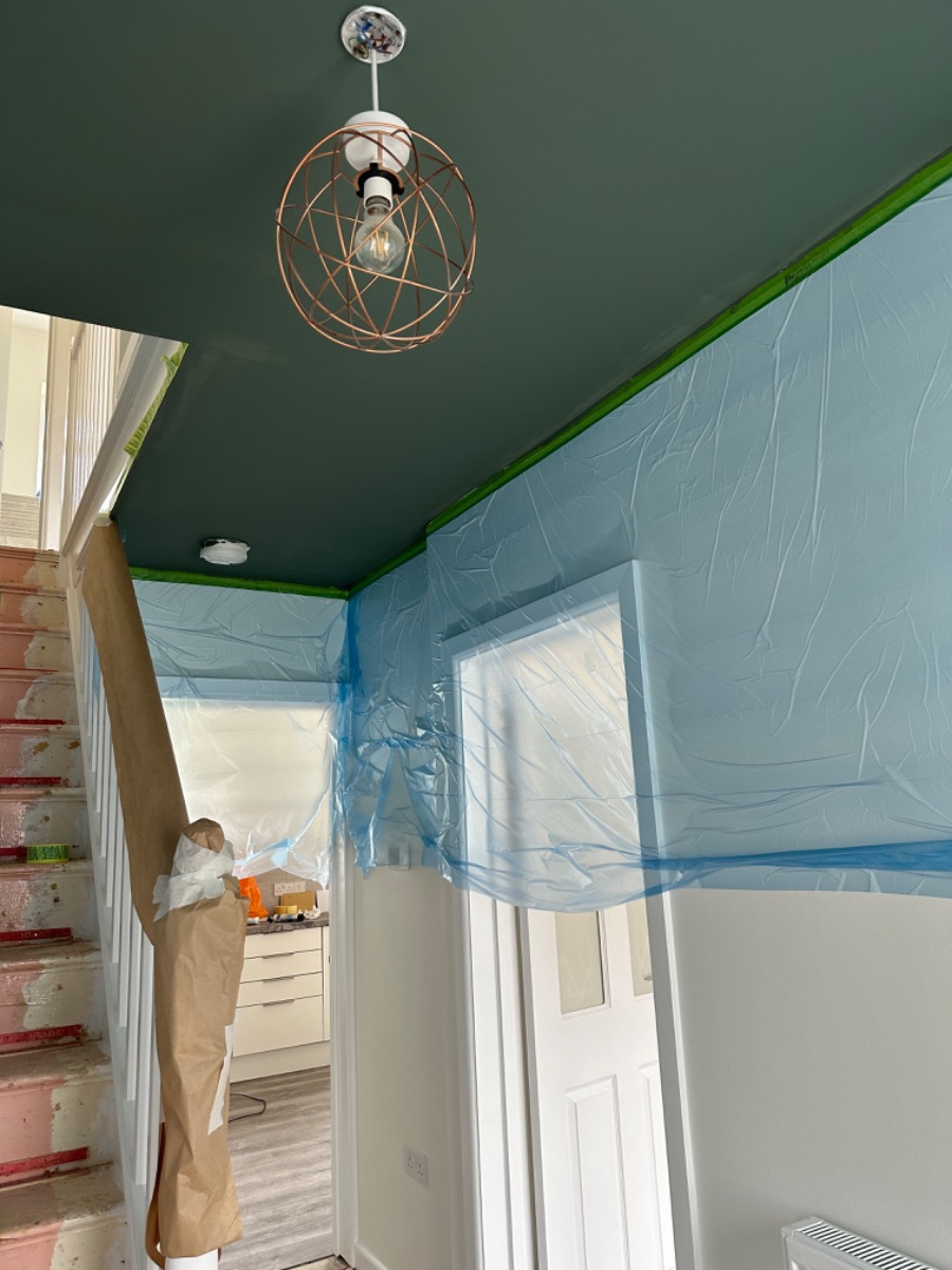 Painter and Decorator: Image 12