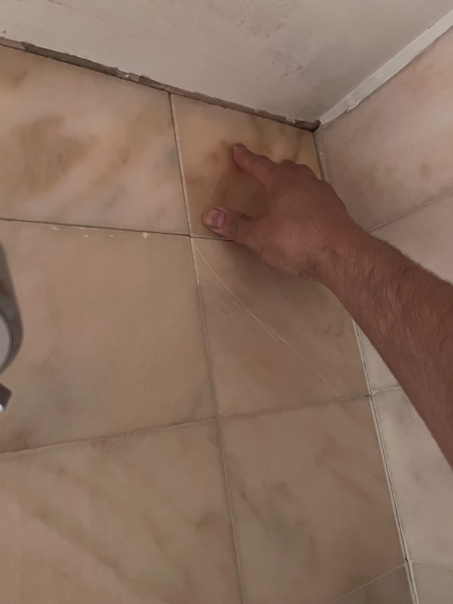 Tiler: Image 3