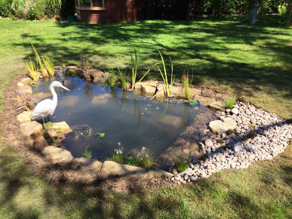 Gardener: Image 6