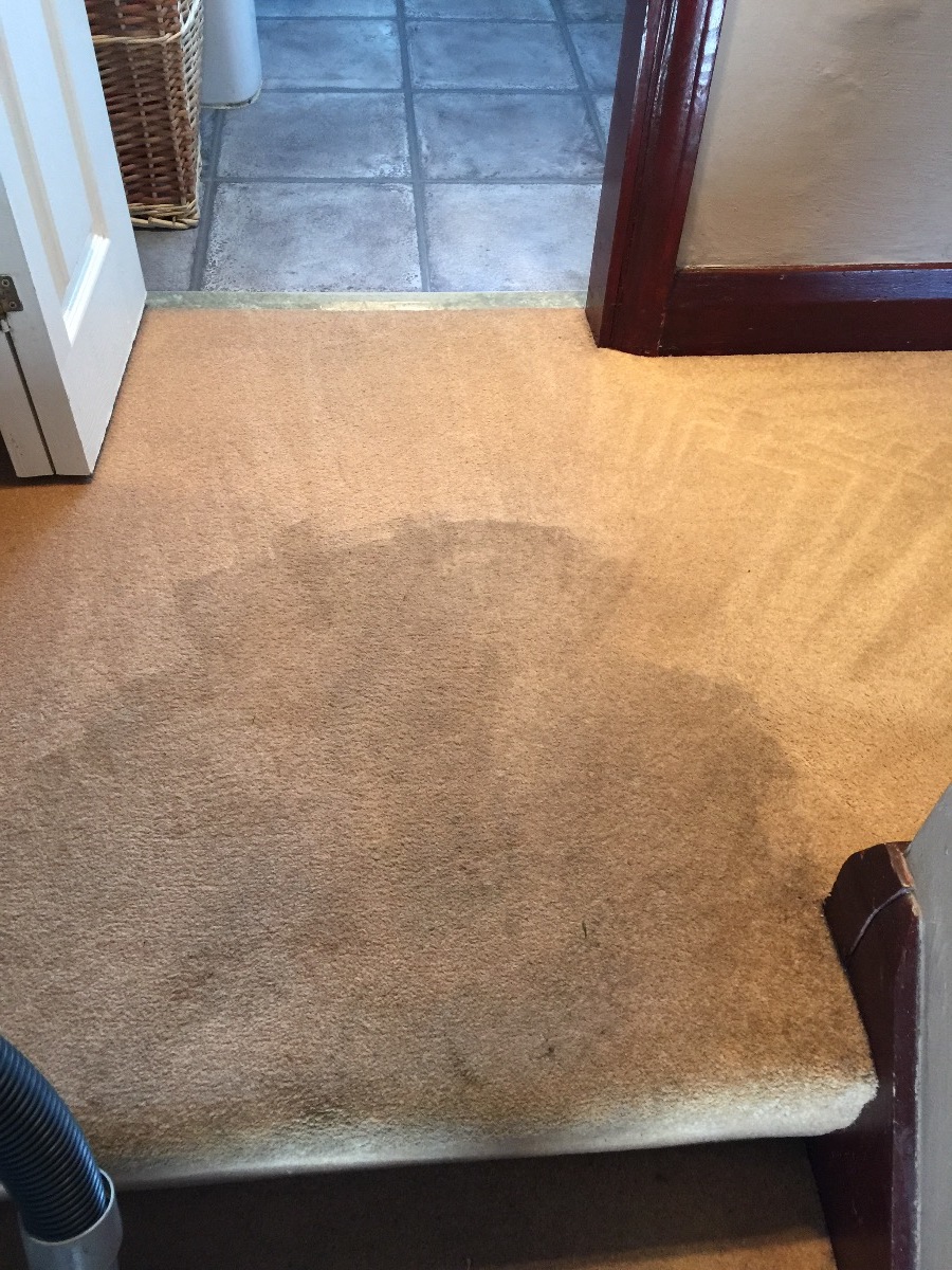 Cleaner: Image 5