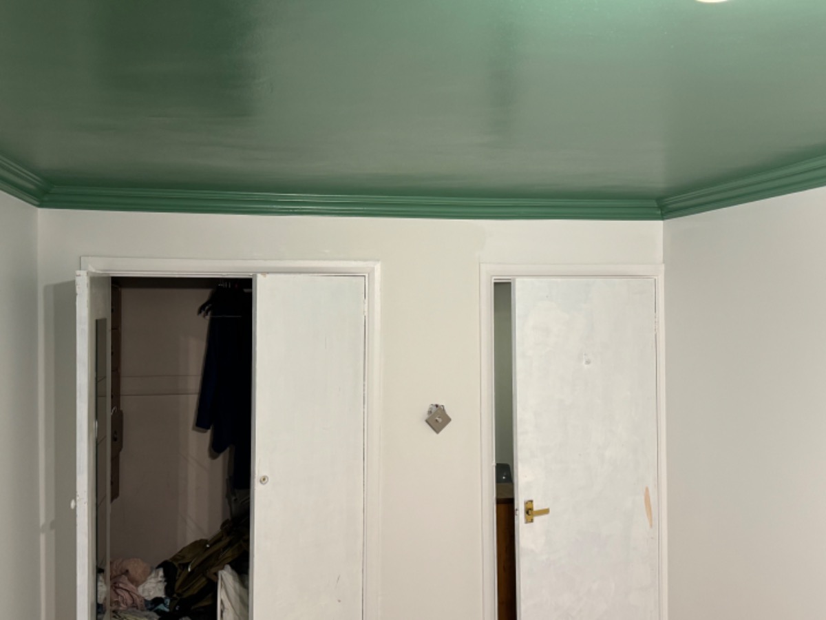 Painter and Decorator: Image 8