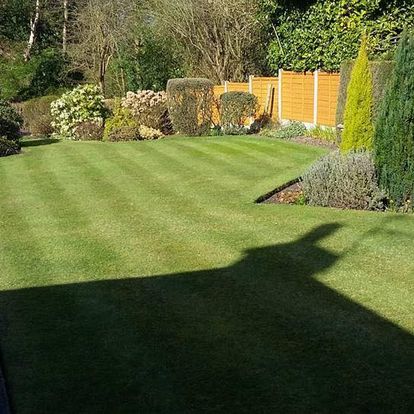 Gardener: Image 1