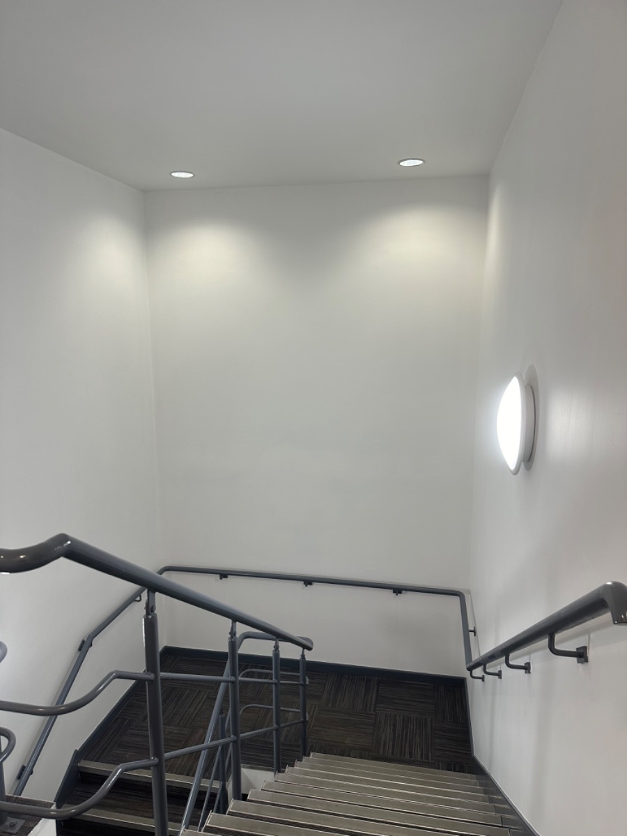 Painter and Decorator: Image 6
