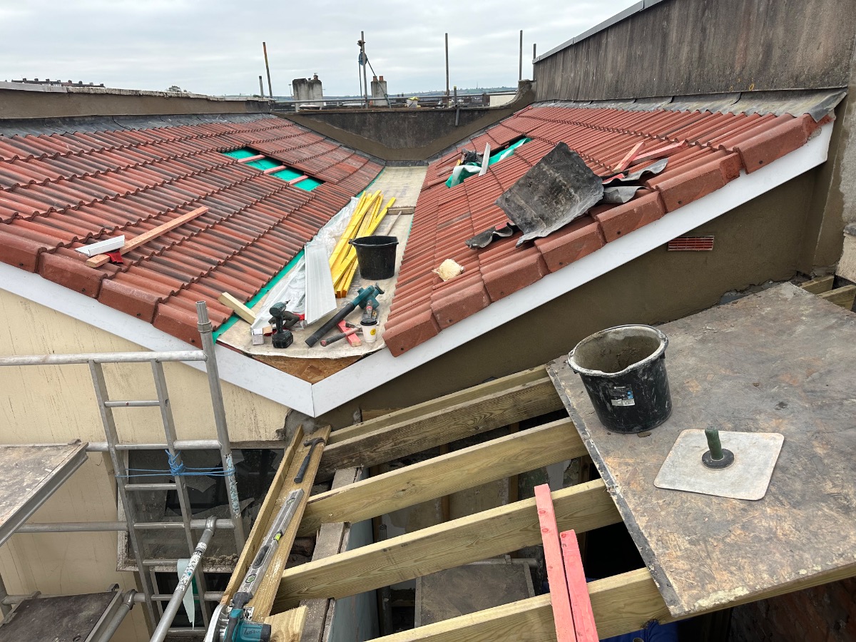 Extension Builder: Image 19