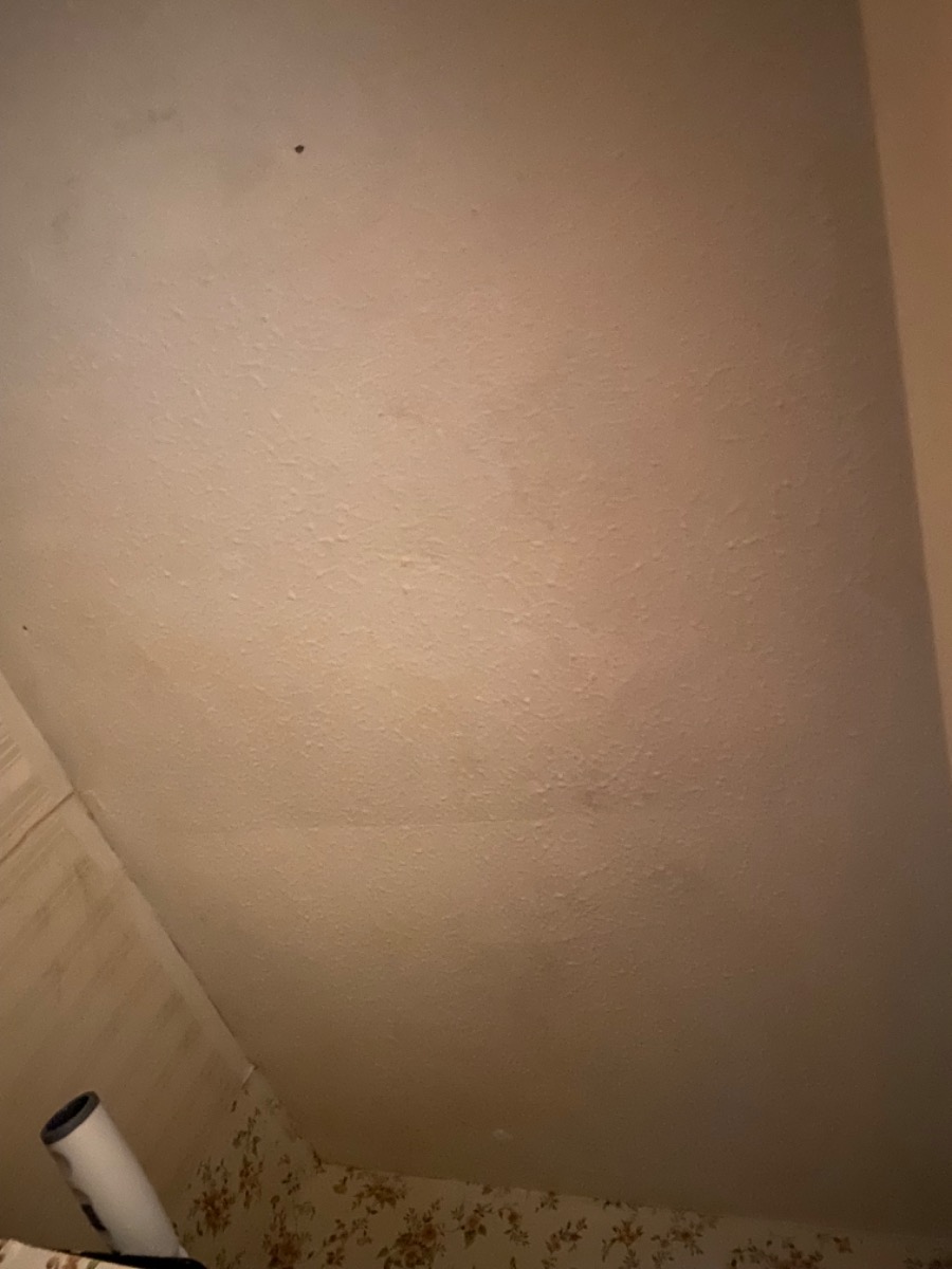 Painter and Decorator: Image 6