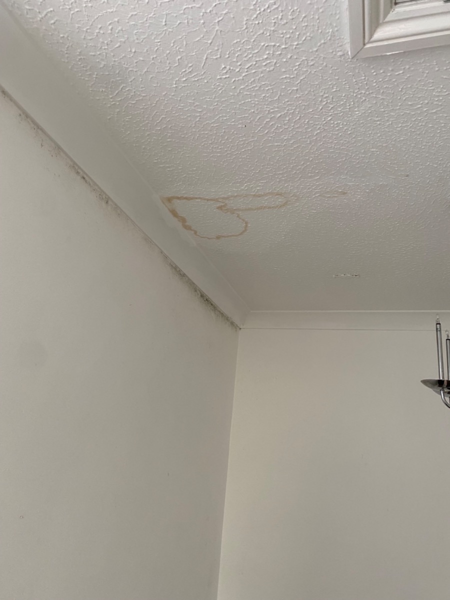 Painter and Decorator: Image 1