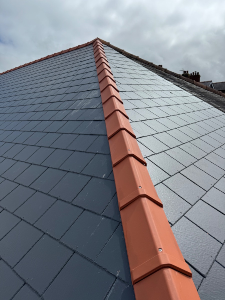 Profile: Image 1