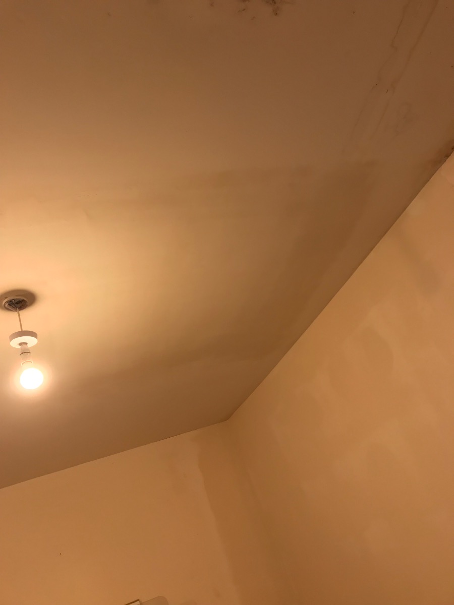 Plasterer: Image 1