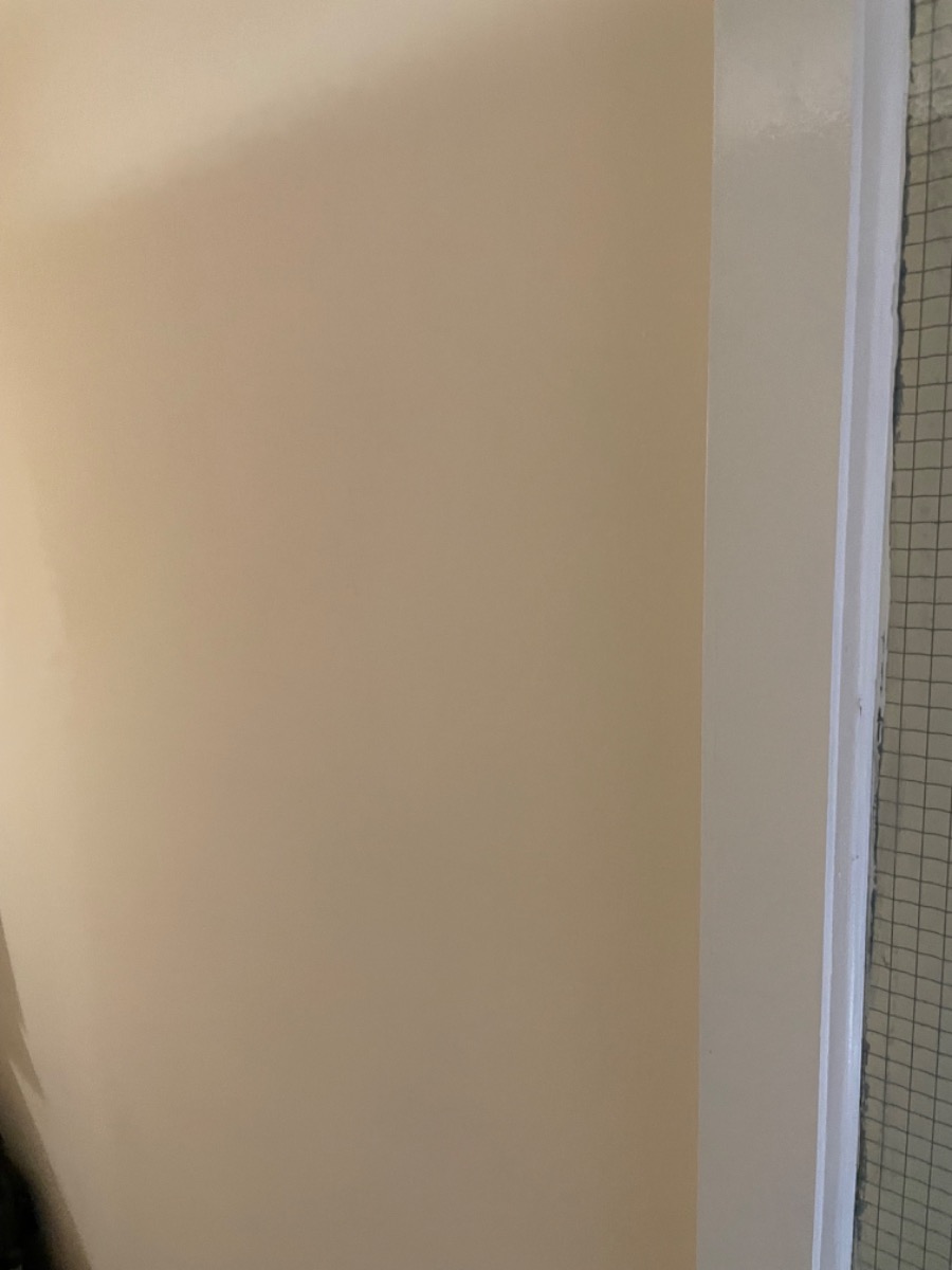Painter and Decorator: Image 4