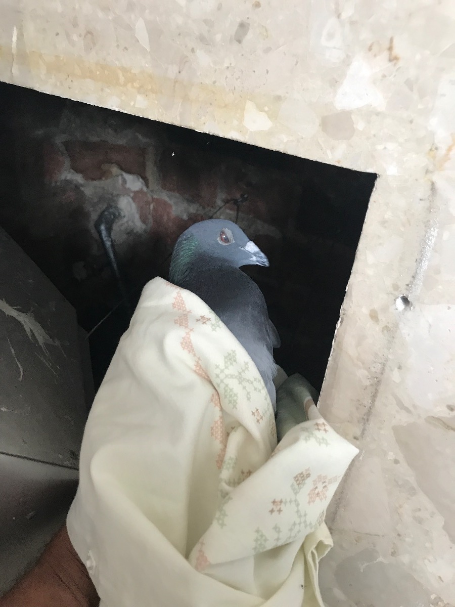 Heating Engineer: Image 1