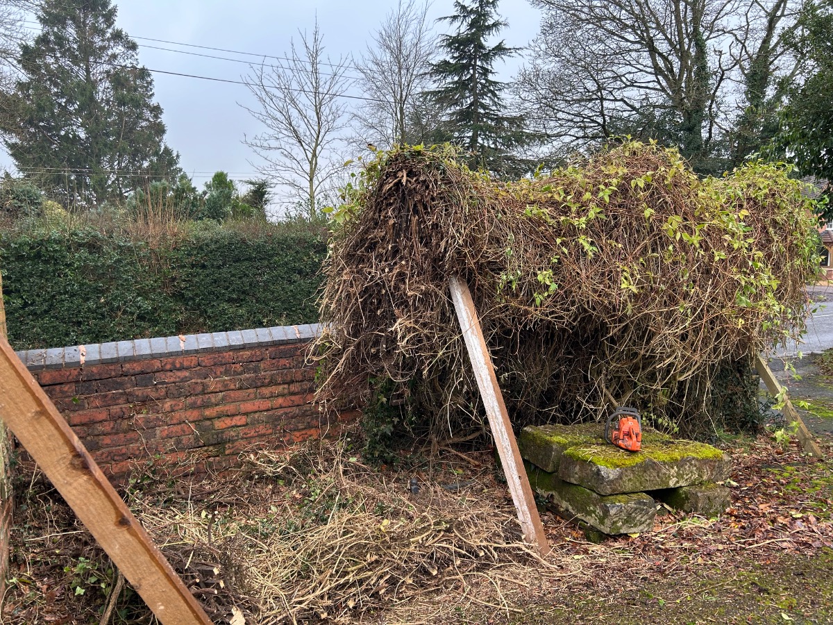 Gardener: Image 8