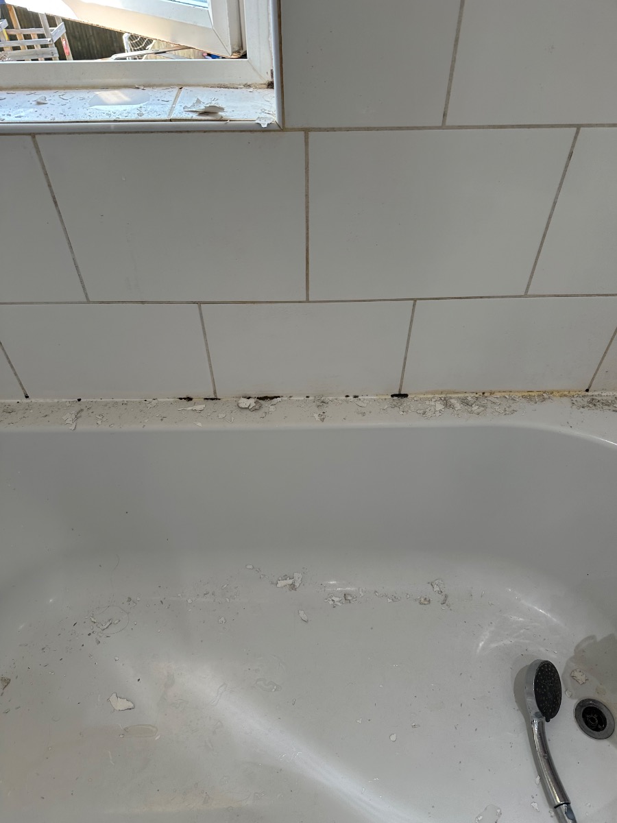 Tiler: Image 3