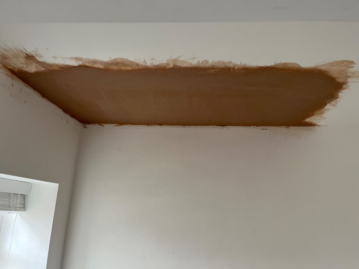 Plasterer: Image 30