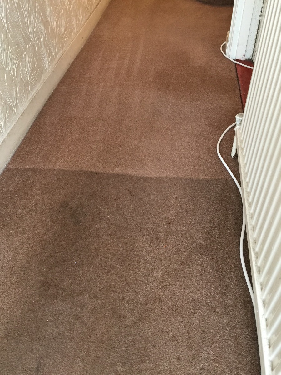 Cleaner: Image 17
